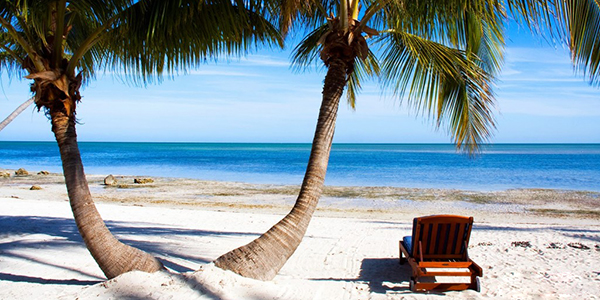 Curso Rápido de Fotografia