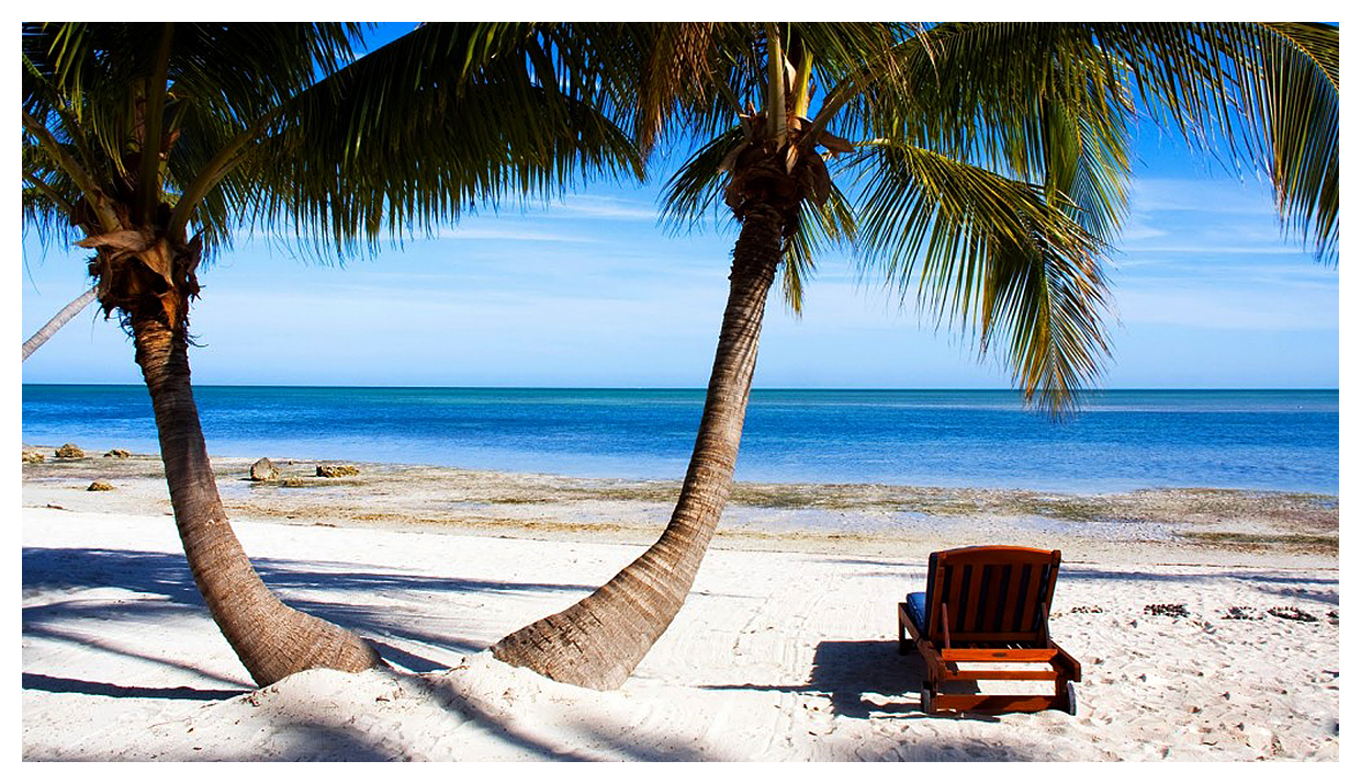 Curso de Fotografia Rápido